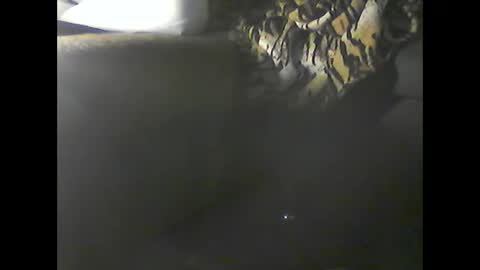 Im DanielVerdo  25 years old Lets have Fun and just ask what wanne know   tnew anal bigock cum  slave  fullnaked online show from 20, 12, 2024