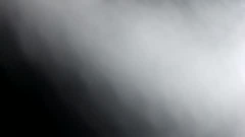 vergaccio online show from 14, 12, 2024