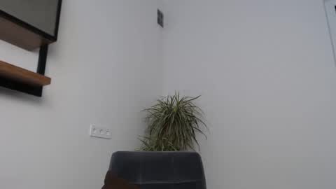 Snapshot of veronik_shy chatting on 12, 2, 2026 veronik_shy online show from 12, 2, 2026