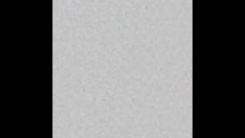 Veronika von Kleist online show from 3, 12, 2025