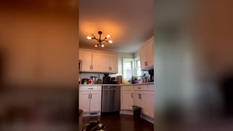 vic_cd online show from 8, 4, 2026