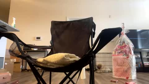 victoryd007 online show from 22, 2, 2025