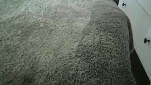 Vidalter online show from 20, 11, 2025