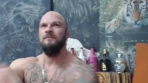 viking online show from 15, 11, 2025