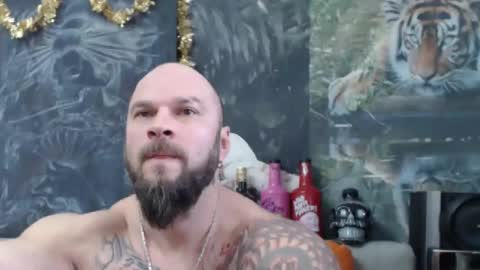 viking online show from 23, 12, 2025