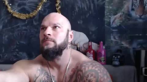 viking online show from 1, 2, 2026