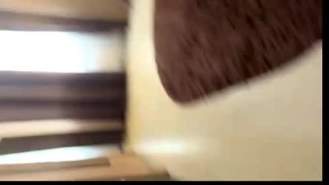 Snapshot of viktoriya_kreyzi chatting on 31, 5, 2026 viktoriya_kreyzi online show from 31, 5, 2026