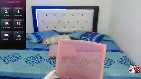 Violeta online show from 30, 12, 2024