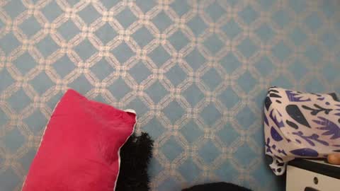 Snapshot of violeta_cute18 chatting on 10, 1, 2025 Violeta online show from 10, 1, 2025