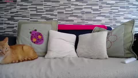 Snapshot of violetagomez_co chatting on 7, 7, 2026 Violeta Gmez online show from 7, 7, 2026
