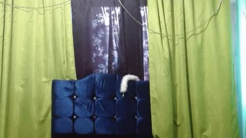 violetta_dreams online show from 1, 7, 2026