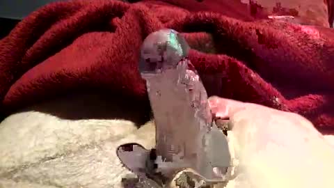 Snapshot of virtual_hand_player chatting on 31, 1, 2025 virtual_hand_player online show from 31, 1, 2025