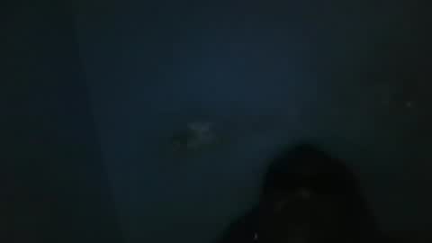 vivitransbahia22cm online show from 12, 2, 2025