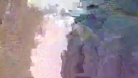 vteck381047 online show from 20, 12, 2025