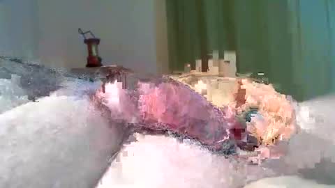 vukavuka99 online show from 8, 3, 2026