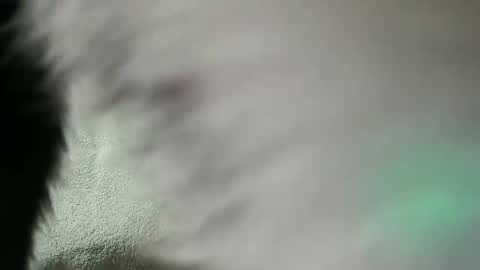 Daniel online show from 28, 2, 2025