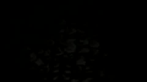 Snapshot of w2456 chatting on 25, 11, 2025 w2456 online show from 25, 11, 2025