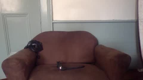 Snapshot of w988358 chatting on 23, 5, 2026 w111111 online show from 23, 5, 2026