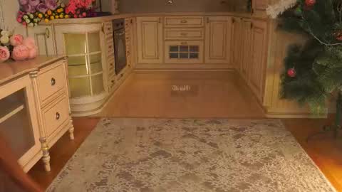 hello guys im Lilian online show from 12, 1, 2026