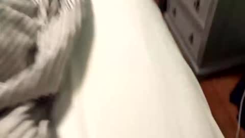 wannacam237 online show from 21, 4, 2026