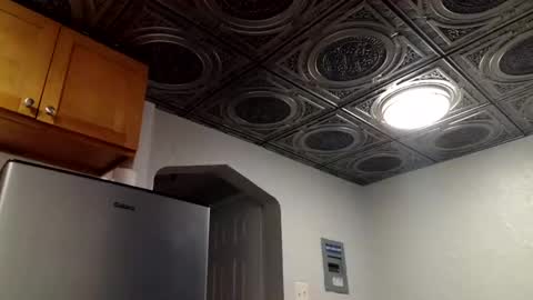 wantstoperform online show from 2, 11, 2025