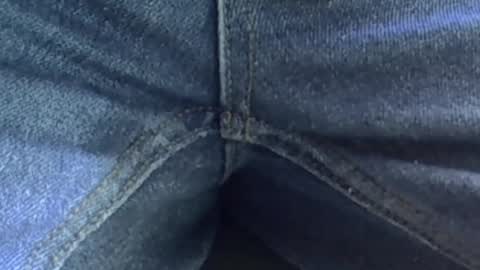 Davey online show from 8, 4, 2026