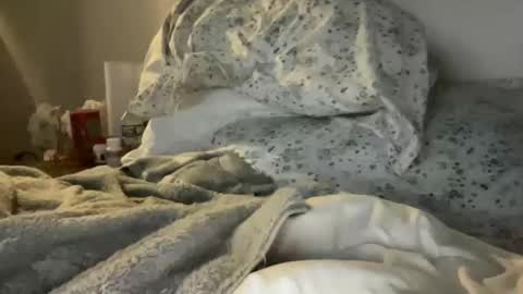 waveonce online show from 29, 3, 2026