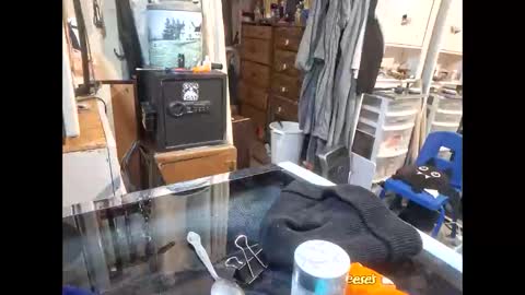 wcnmail24 online show from 8, 1, 2026