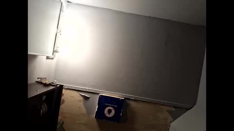 wcnmail24 online show from 12, 1, 2026