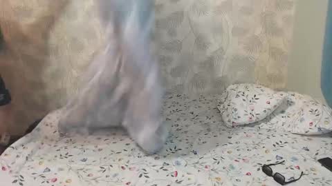 Lia and Artur online show from 22, 12, 2025