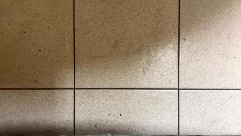 Snapshot of webchatter99 chatting on 2, 1, 2025 webchatter99 online show from 2, 1, 2025