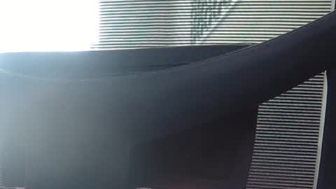 Snapshot of wetbigdickstream chatting on 13, 6, 2026 Wetbigdickstream online show from 13, 6, 2026