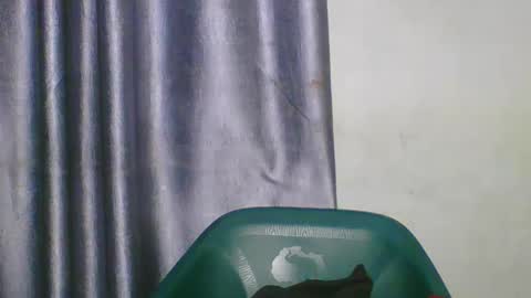 wetfatpussy_ online show from 5, 3, 2026