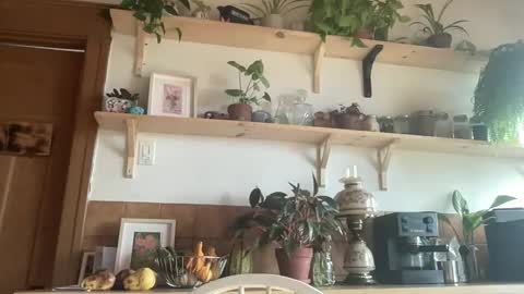 Snapshot of whiskylovexxx chatting on 4, 11, 2025 WhiskyLove online show from 4, 11, 2025