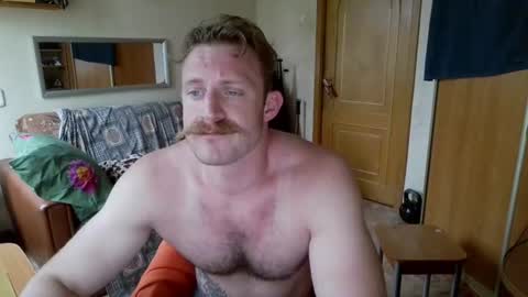 WhiteBull online show from 2, 7, 2026