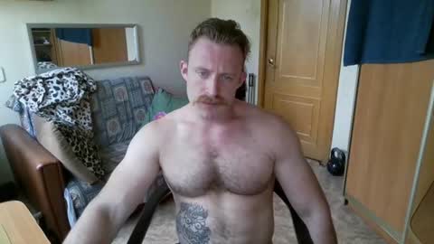 WhiteBull online show from 1, 8, 2026