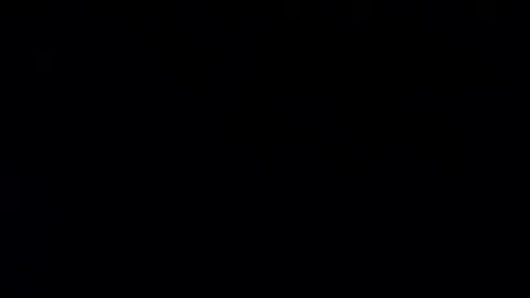 whitehead_lion online show from 20, 1, 2025