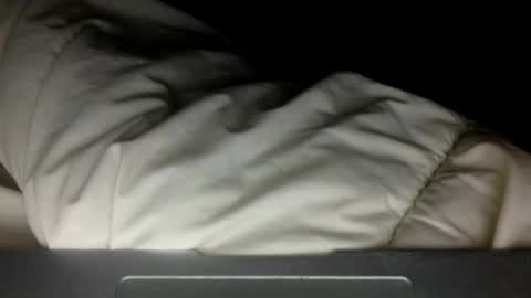 Snapshot of wholesomebull00 chatting on 10, 11, 2025 wholesomebull00 online show from 10, 11, 2025