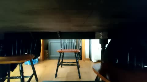 whoneedsaowner online show from 9, 1, 2025