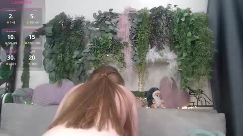 wiagra online show from 26, 2, 2026