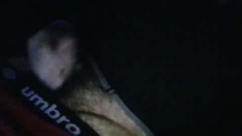 Snapshot of wildealexyz chatting on 17, 10, 2025 WildeAlex online show from 17, 10, 2025