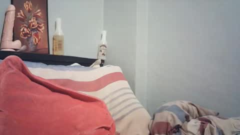 Snapshot of wildfiery chatting on 19, 2, 2026 wildfiery online show from 19, 2, 2026