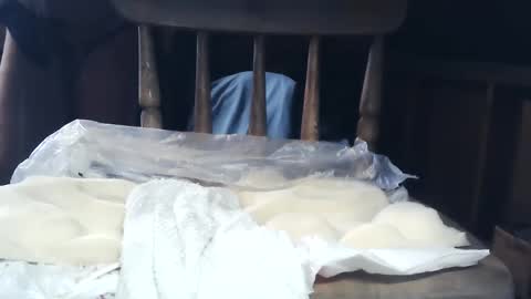 Snapshot of wildman6 chatting on 26, 1, 2025 wildman6 online show from 26, 1, 2025