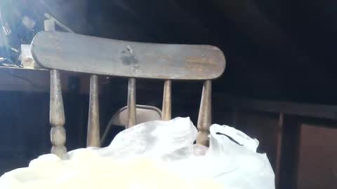 wildman6 online show from 8, 2, 2025