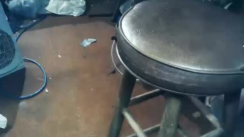 Snapshot of wildman6 chatting on 11, 10, 2025 wildman6 online show from 11, 10, 2025