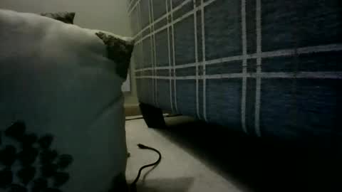 Willhedoher online show from 4, 3, 2026