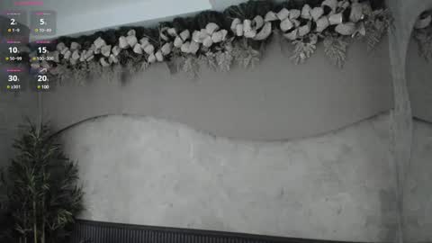 Ms Willow online show from 29, 12, 2024