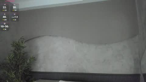 Ms Willow online show from 28, 1, 2025