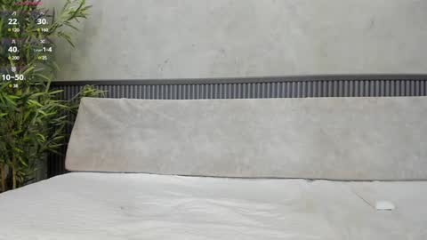 Ms Willow online show from 3, 2, 2025