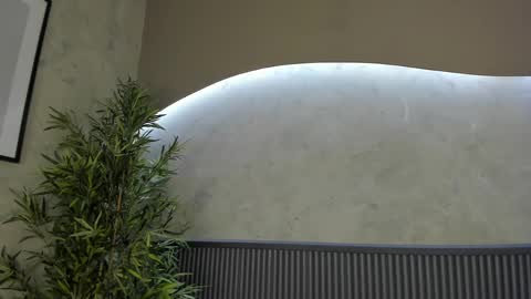 Ms Willow online show from 20, 2, 2025